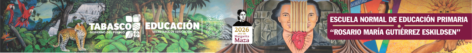 Banner institucional